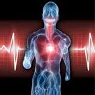 Oral Systemic Connection