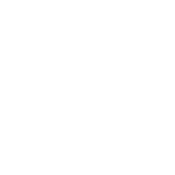 vcf-fund-thumb-5b7da63aa09b7.png