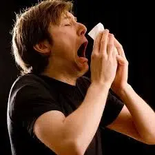 sneeze