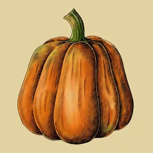 Pumpkin