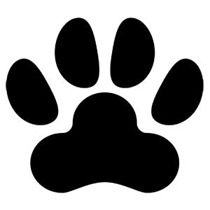 Business Cover