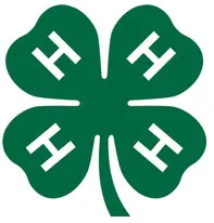 4H Clover