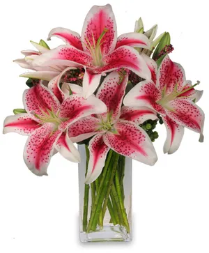 Lilies