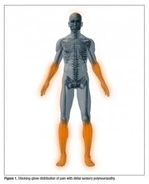 body system