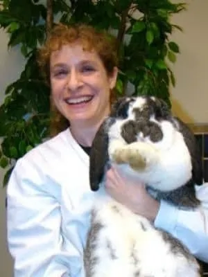 Dr. Laura Wallach at Danada Veterinary Hospital in Wheaton