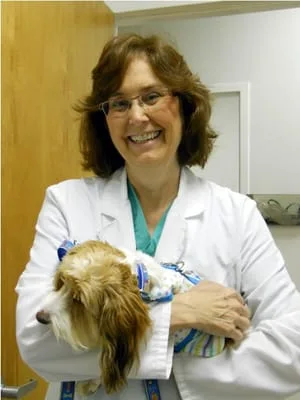 veterinarian in Durham