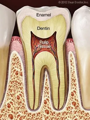 Root Canal Treatment Waterloo