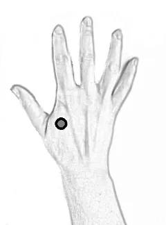thenar pressure point in hand