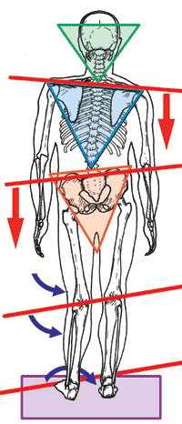 Skeleton-Crooked-4C.gif