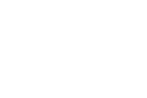 insurance_logo