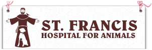 St. Francis