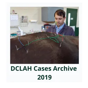 DCLAHCasesArchive2019Cover  