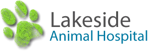 Lakeside Animal Hospital