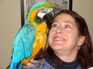 client with parrot