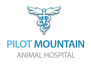 Pilot Mountain Animal Hospital