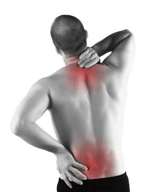 Back Pain Stretching - Blue Cross and Blue Shield's Federal