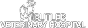 Butler Vet Hospital