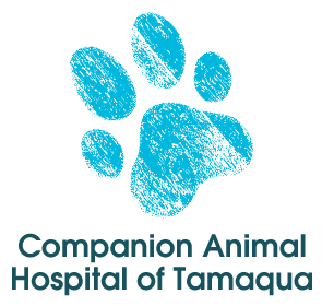 Companion Animal Hospital of Tamaqua