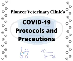 PVC COVID Protocols