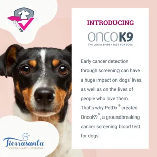 Intro to Oncok9