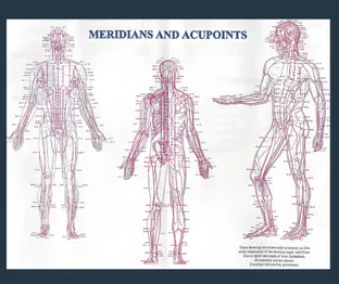 Acupoints
