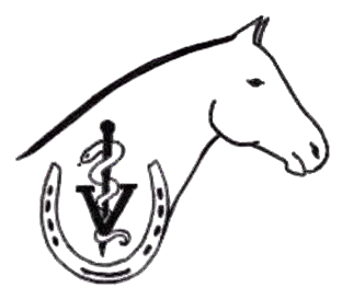 Strain Equine Logo