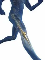 blue_leg_web.jpg