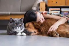 girl sleeping cat and dog