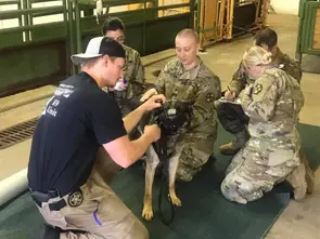 soldiers2