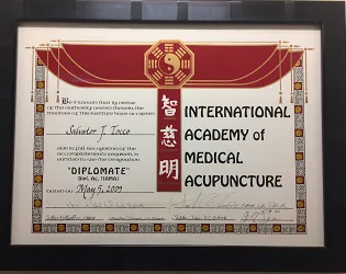 International Academy of Medical Acupuncture
