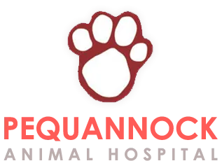 Pequannock Animal Hospital