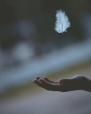hand with feather