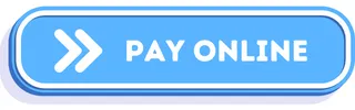 Pay online button