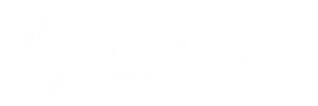 Focal Sight Logo