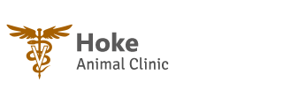 Hoke_logo