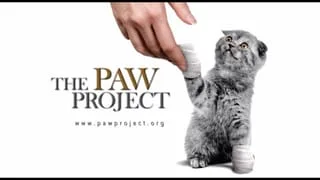 paw project