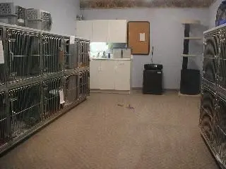 cat boarding