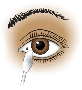 <strong>
</picture>First Aid - Foreign Object in Corner of Eye</strong> <ul><li>Try to get the particle out with a moistened cotton swab or the corner of a moistened cloth. </li><li>If this does not work, then place the face under a gently running faucet or a shower. Hold the eyelids open while you do this. This should flush the particle out.</li></ul>