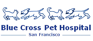 Blue Cross Pet Hospital