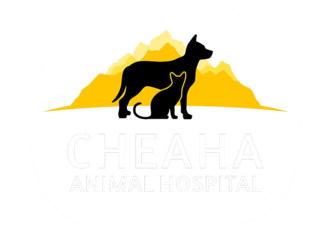 Cheaha Animal Hospital