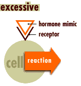 endocrineexcess.gif