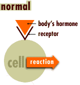 endocrinenormal.gif