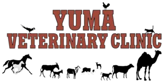 Yuma Veterinary Clinic