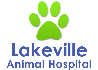 Lakeville Animal Hospital