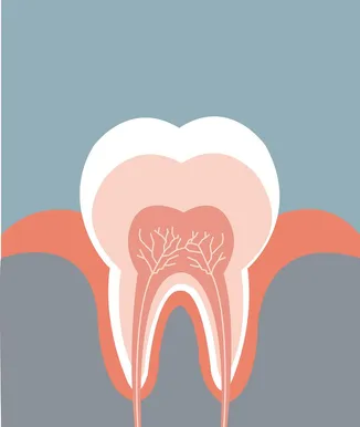 Root Canals | Dentist in St. Peters, MO | Hillis Family Dental 