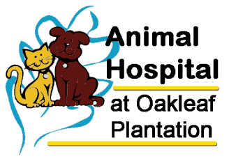 Animal Hospital  Oakleaf Plantation