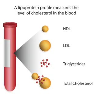 Lipoprotein particle