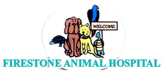 Round dog and cat logo