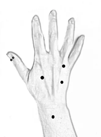 hand pressure points - posterior