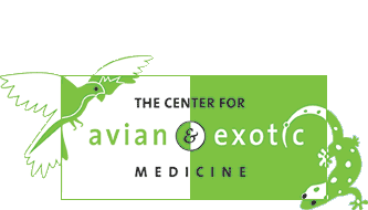 Veterinary Avian And Exotic Medicine Manhattan